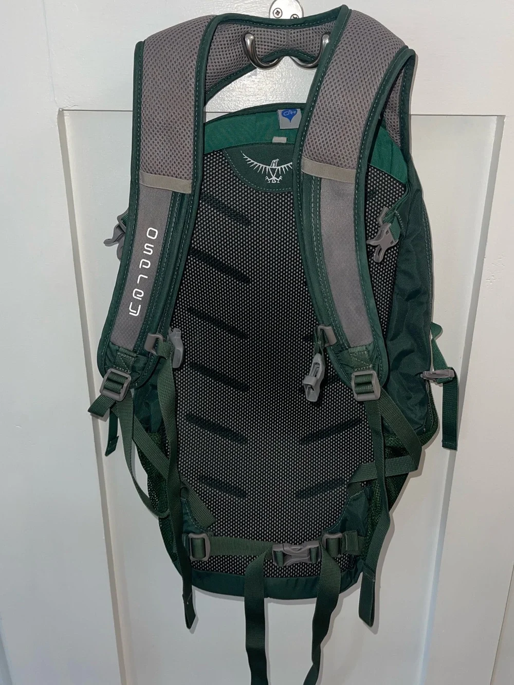Osprey Dark Green & Red Plaid Daypack special edition. No bladder